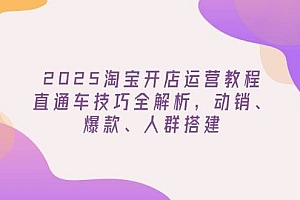 (14389期)2025淘宝开店运营教程更新,直通车技巧全解析,动销、爆款、人群搭建