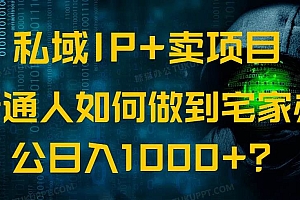 (14400期)私域IP+卖项目,普通人如何做到宅家办公实现日入1000+