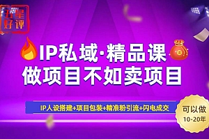 (14406期)2025年“IP私域·密训精品课”,日赚3000+小白避坑年赚百万,暴力引流…