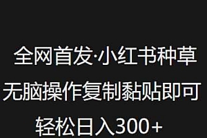 全网首发,小红书种草无脑操作,复制黏贴即可,轻松日入3张