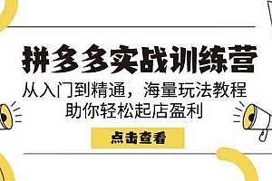 拼多多实战训练营,从入门到精通,海量玩法教程,助你轻松起店盈利