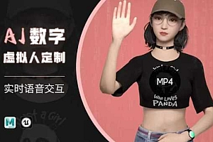 Ai数字人虚拟(智能体)实时语音交互特训营,自行定制超写实角色AI数字人交互技术