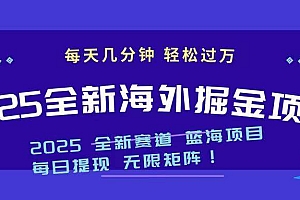 (14425期)2025最新海外掘金项目 一台电脑轻松日入500+