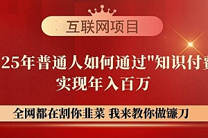 (14466期)【网创项目终点站-镰刀训练营超级IP合伙人】25年普通人如何通过“知识…
