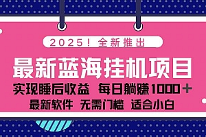 (14478期)2025最新挂机躺赚项目 一台电脑轻松日入500