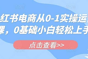 小红书电商从0-1实操运营课,0基础小白轻松上手