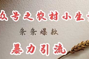 deepseek写农村小项目,条条爆款,暴力引流