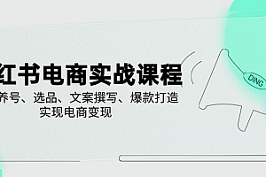 (14549期)小红书电商实战课程,详解养号、选品、文案撰写、爆款打造,实现电商变现