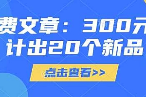 付费文章:300元设计出20个新品