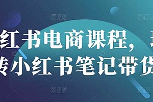 小红书电商课程,玩转小红书笔记带货
