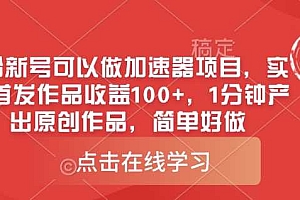 0粉新号可以做的加速器项目,实测首发作品收益100+,1分钟产出原创作品,简单好做