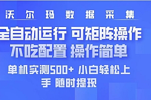 (14560期)最新沃尔玛平台采集 全自动运行 可矩阵单机实测500+ 操作简单