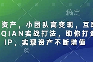 个人IP资产,小团队高变现,互联网全链路赚QIAN实战打法,助你打造个人IP,实现资产不断增值
