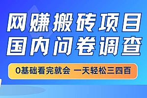 (14578期)网赚搬砖项目,国内问卷调查,0基础看完就会 一天轻松三四百,靠谱副业…
