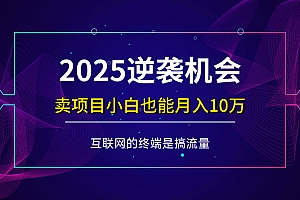 (14122期)项目标题:2025逆袭机会,卖项目小白也能轻松月入10万+