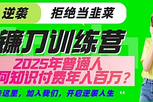 镰刀训练营超级IP合伙人,25年普通人如何通过“知识付费”实现逆袭