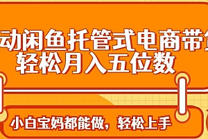 (14132期)全自动闲鱼托管式电商带货 轻松实现月入五位数