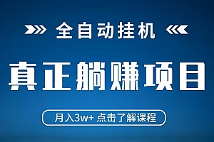 全自动挂机项目 月入3w+ 真正躺平项目 不吃电脑配置 当天见收益