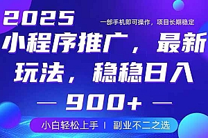 (14137期)25年小程序掘金最新玩法,稳稳日入900+,副业兼职的不二之选