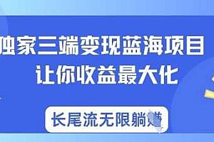 独家三端变现蓝海项目,让你收益最大化,长尾流无限躺挣