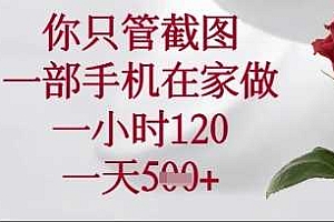 你只管截图,一部手机在家操作,一小时120.一天5张【揭秘】