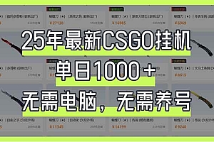 (14178期)25年最新CSGO挂机系统,单日1000+,无需电脑,无需养号,0基础可上手