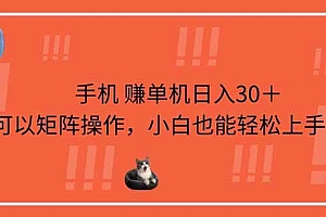 (14189期)手机赚单机日入30+,可以矩阵操作,小白也能轻松上手