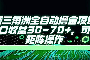 (14191期)最新三角洲全自动撸金项目,单窗口收益30-70+,可批量矩阵操作