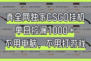 真全网独家CSGO挂机,单日捡漏1000+,不用电脑,不用养号