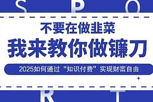 韭菜生涯终结者,我来教你做镰刀,2025如何通过“知识付费”实现财F自由【揭秘】