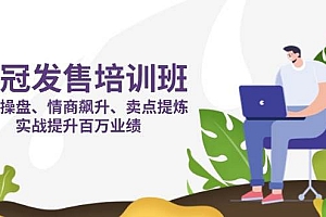 销冠发售培训班:发售 操盘+情商 飙升+卖点 提炼,实战提升百万业绩