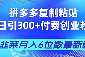 (14232期)拼多多复制粘贴日引300+付费创业粉,割韭菜月入6位数最新教程!
