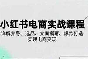 小红书从0-1实操课(2023-2025),详解养号、选品、文案撰写、爆款打造实现电商变现