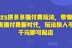 2025拼多多强付费玩法,带领全网走强付费新时代,玩法投入不超千元即可起店