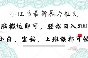 (14251期)小红书暴力推文,小白宝妈均可做,日入300+