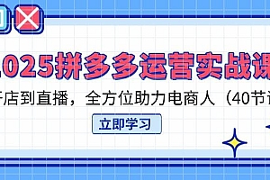 (14259期)2025拼多多运营实战课,从开店到直播,全方位助力电商人(40节课)