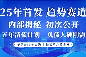 2025年首次公开,真正的事业型赛道,客咨不断,单月轻松破W