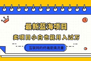 (14289期)2025年最新蓝海项目,卖项目小白也能月入过万