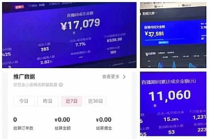 (14320期)AI智能无人直播,无需出镜,单日收益1000+