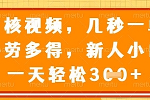 最新审核视频,几秒一单,多劳多得,新人小白一天轻松3张【揭秘】
