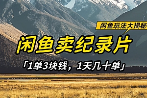 闲鱼卖纪录片,简单又赚钱的小项目,1单3块钱  1天几十单