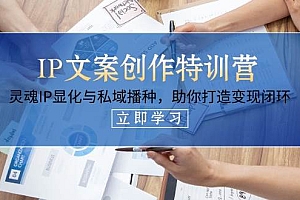 IP文案创作特训营,灵魂IP显化与私域播种,助你打造变现闭环(14节课)
