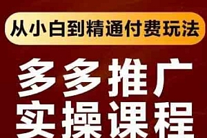 拼多多推广实操课程,从小白到精通付费玩法
