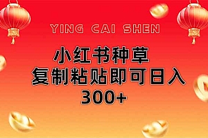 (14350期)小红书种草无脑操作复制粘贴即可日入300+