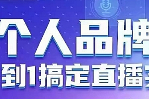 个人品牌:从0到1搞定直播实操,用直播为你的个人品牌赋能,六大实操板块,放大个人影响力