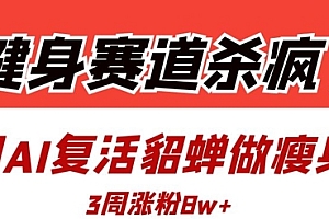 健身赛道杀疯了?我用AI复活貂蝉做瘦身操,3周涨粉8W