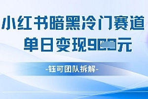 小红书冷门”暗黑”赛道,单日收益多张