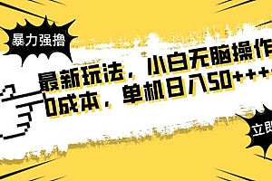 (14400期)最新玩法 广告暴力强撸 傻瓜式操作 无需养鸡 矩阵式操作 可无限放大 单…