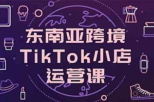 东南亚跨境TikTok小店运营课,掌握店铺设置与流量转化核心技巧
