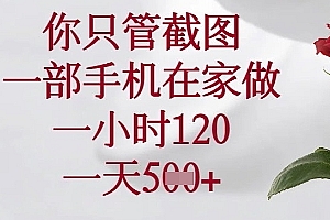 你只管截图,一部手机在家做,苹果安卓都可以,一小时120,一天5张+【揭秘】
